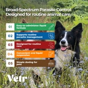 Vetr Pyramax 5% Pyrantel Pamoate Oral Suspension for Dogs & Cats Digestive Care, 500 ml