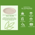 thumbnail image 3 of Vplus Lot de 150 Assiettes en Papier Jetables Compostables 10 Pouces Super Résistantes 100 % Bagasse Naturelles Biodégradables Écoresponsables Assiettes pour Canne à Sucre (nature), 3 of 7