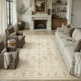 thumbnail image 6 of BERTHMEER 5'x7' Area Rugs for Living Room Bedroom Rugs Kitchen Non Slip Washable Vintage Beige Carpets Oriental Distressed Office Dorm Dining Room Traditional Distressed Throw Rugs, 6 of 7
