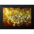 thumbnail image 2 of Eisele, Stefan 18x13 Black Modern Framed Museum Art Print Titled - Wonderland, 2 of 5
