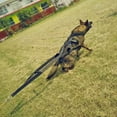 thumbnail image 5 of Dog Sled Weight Pulling Training Harnesses for Large Dogs Behaviors Training, Dog Pulling Sledding Harnesses for Weight Pulling,Canicross,Ski-Joring, 5 of 7