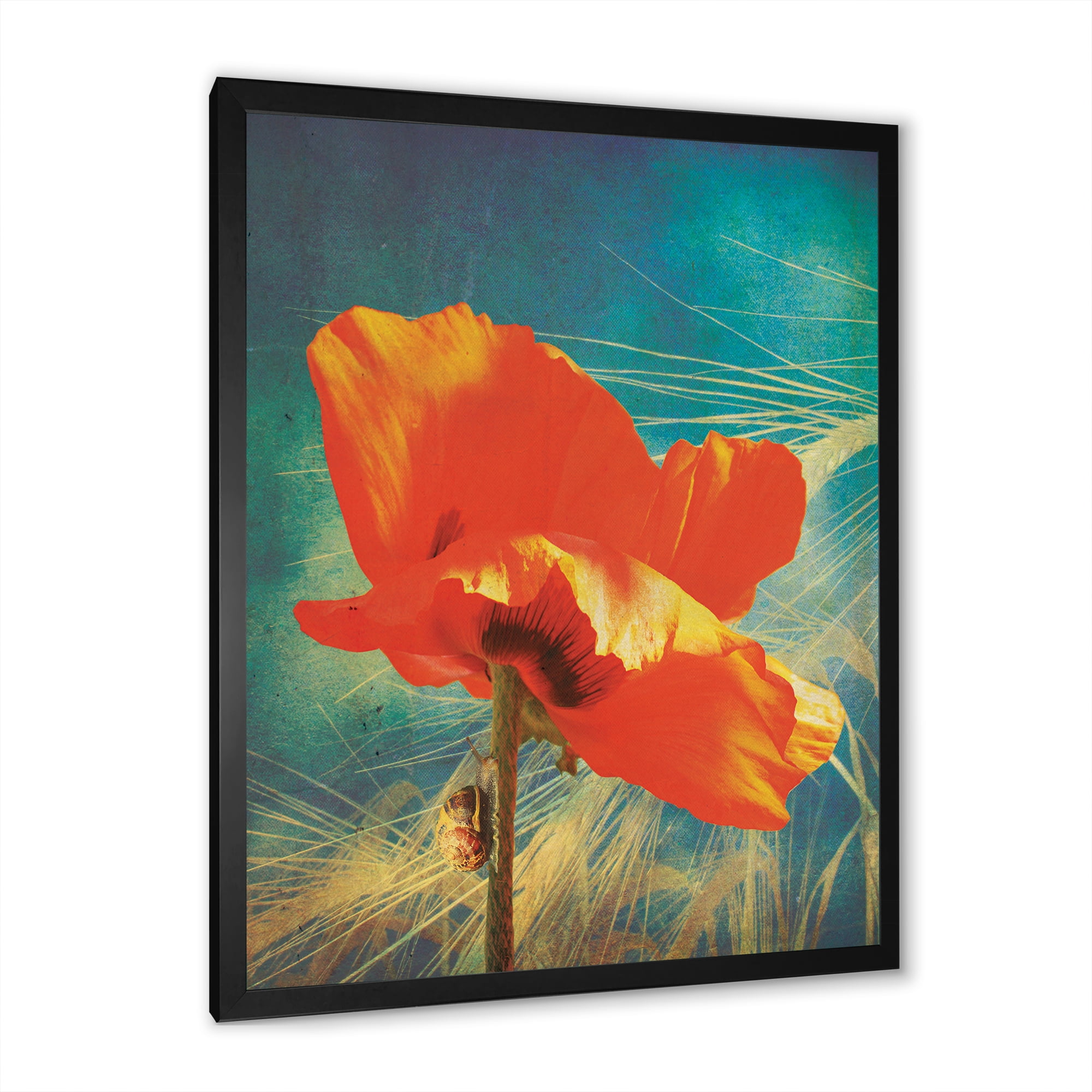 Designart 'Ancient Grunge Poppy' Traditional Framed Art Print