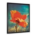 thumbnail image 2 of Designart 'Ancient Grunge Poppy' Traditional Framed Art Print, 2 of 4