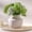B-5.3"h-antique, variant on Ceramic Flower Vase B-12.5"h-antique 12.5 Inch Tall Large Terracotta Decorative Pottery For Home Decor