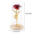 thumbnail image 5 of Muyoka Austok Rose Gift, Beauty and The Beast Rose, Kit de rosas, Rose de seda roja y luz LED con pétalos caídos en cúpula de vidrio sobre base de madera Día de San Valentín Aniversario Cumpleaños Muyoka Hogar, 5 of 5
