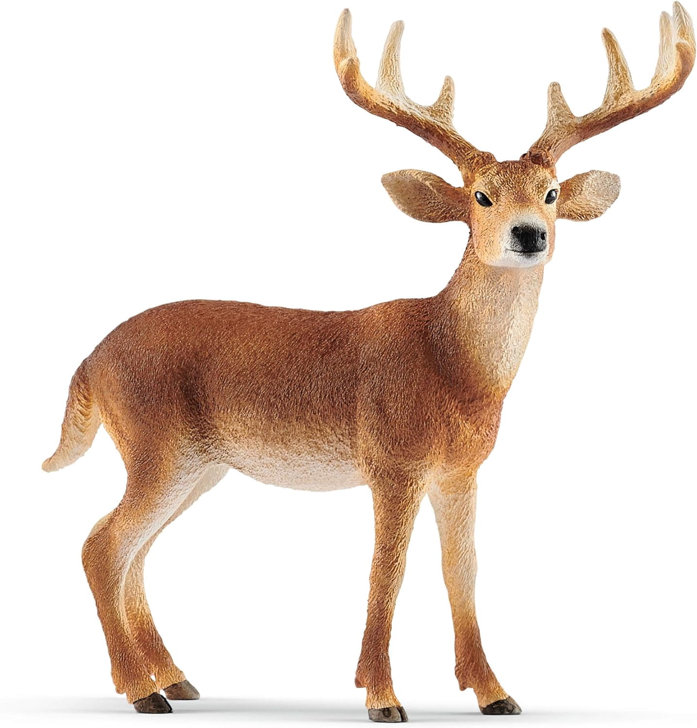 Schleich Wild Life - White-Tailed Buck Deer Figurine - Forest Animal Figures for Boys and Girls - Kids Ages 3+