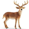 thumbnail image 2 of Schleich Wild Life - White-Tailed Buck Deer Figurine - Forest Animal Figures for Boys and Girls - Kids Ages 3+, 2 of 4