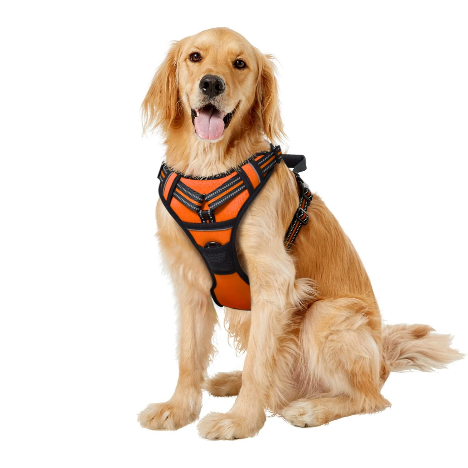 Can You Leave A Harness On A Dog All Day