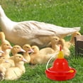 thumbnail image 4 of Mobutofu Duck Water Feeder Plastic Square Red for Outdoor Use 1Pack, 4 of 5