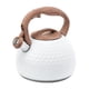 thumbnail image 1 of Hervidor de Acero inoxidable Bearachild 2.8L, 1 of 1