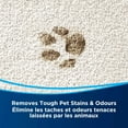 thumbnail image 2 of BISSELL® PET PRO Détachant OXY, 2 of 5