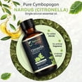 thumbnail image 5 of Citronella Essential Oil for Diffusers & Home Fragrance, Long Lasting Aroma Oil for Humidifier, Candle Making & DIY Use, 4 fl oz (120 mL), 5 of 9