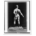 thumbnail image 2 of Historic Framed Print, Sandow.Sarony., 17-7/8" x 21-7/8", 2 of 9