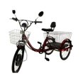 thumbnail image 1 of Triciclo Eléctrico para Adultos de Lujo, 48V Motor, Bicicleta de 3 Ruedas, Velocidad 32 km/h, Alcance de 40 km, Rojo o Azul, 1 of 1