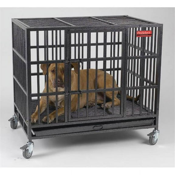 ProSelect Empire Cage Med S