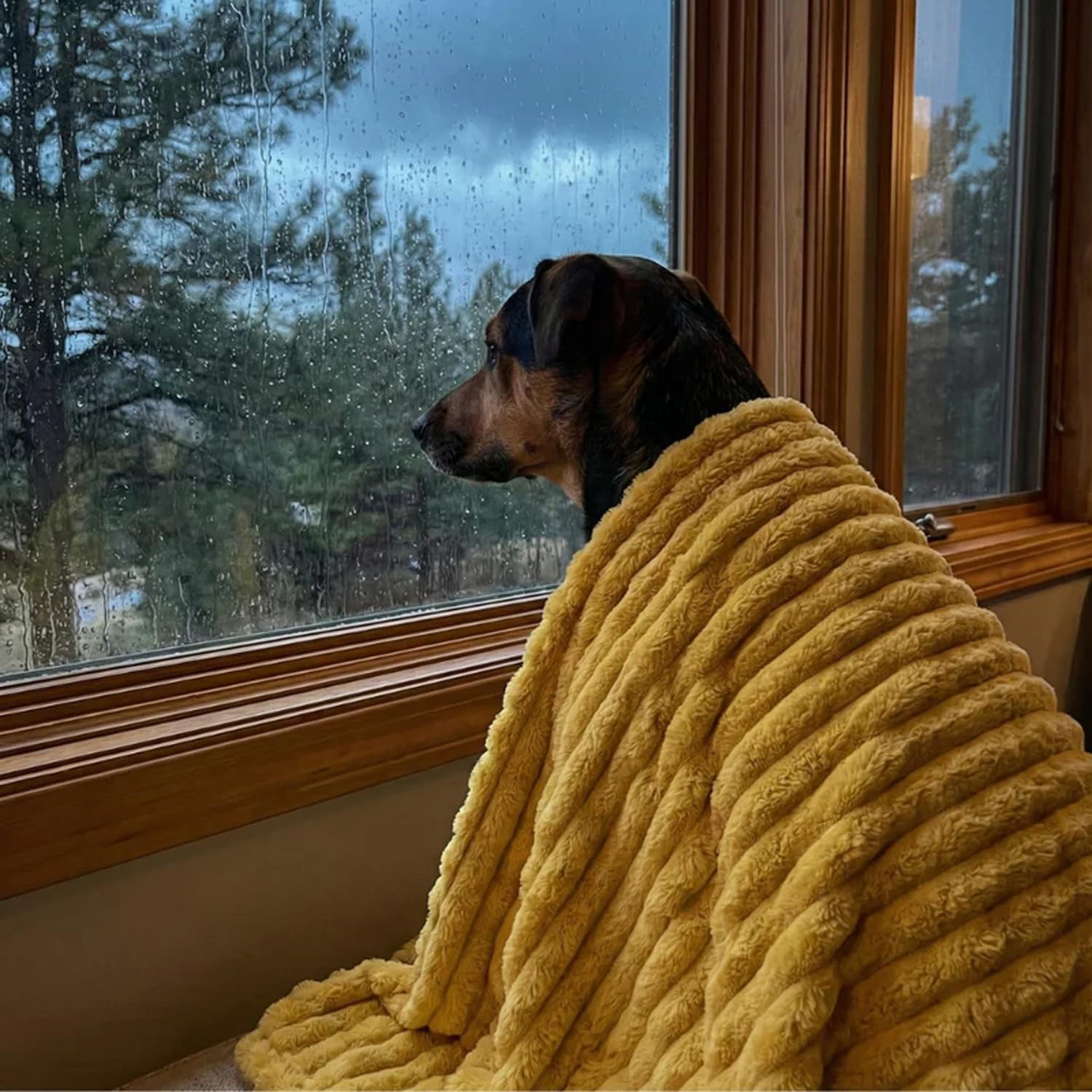 Lethargic Emotional Support Blanket for Dogs, 150*200cm Polyester Fleece Pet Blanket with Soft Calming Surface for Nesting, Crate, Sofa and Everyday Indoor Use