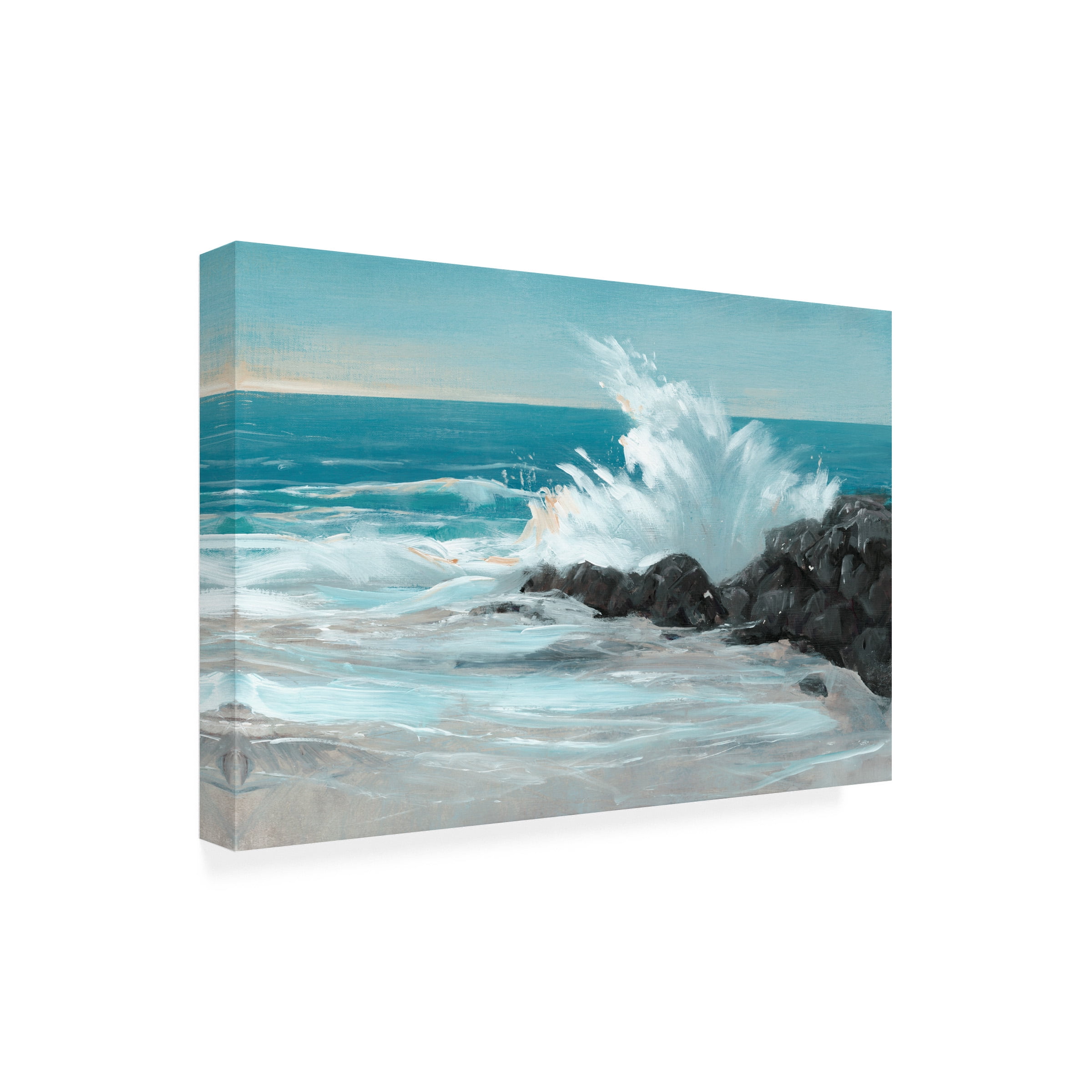 Tim O'Toole 'Crashing Wave I' Outdoor Canvas 16x24