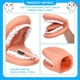 thumbnail image 4 of 2 Piezas de Marioneta de Boca con Dientes de Lengua Boca Marioneta de Mano Modelo de Boca Dental con Cepillo de Dientes para Niño Niña Herramienta Educativa, 4 of 7