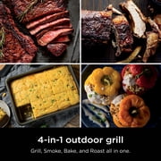 Ninja Woodfire™ Outdoor Grill & Smoker