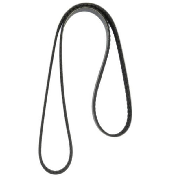 Continental Elite 4080810 PolyV / Serpentine Belt