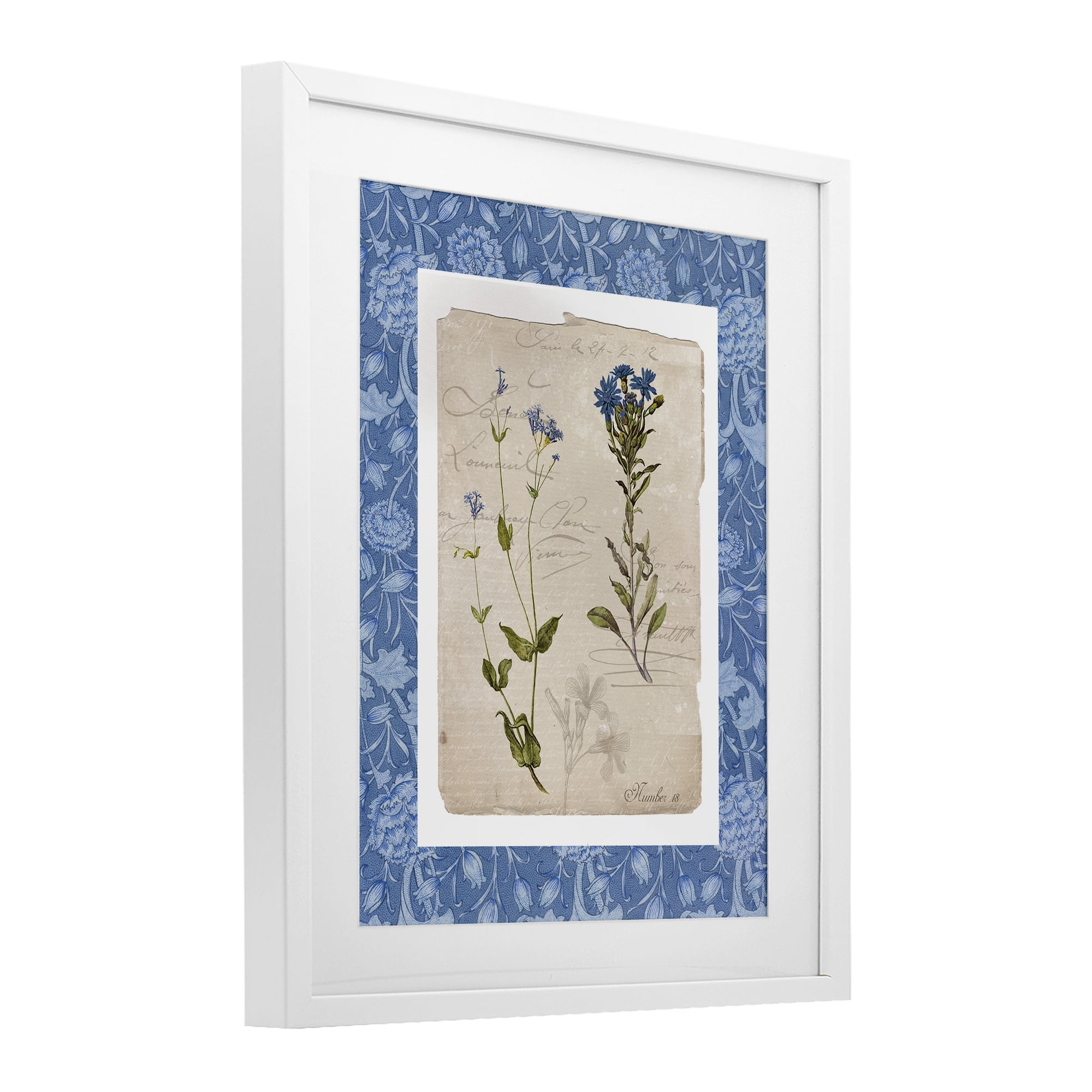 Stupell Industries Blue Vintage Botanicals White Framed Print Under Glass, design by Livi Finn