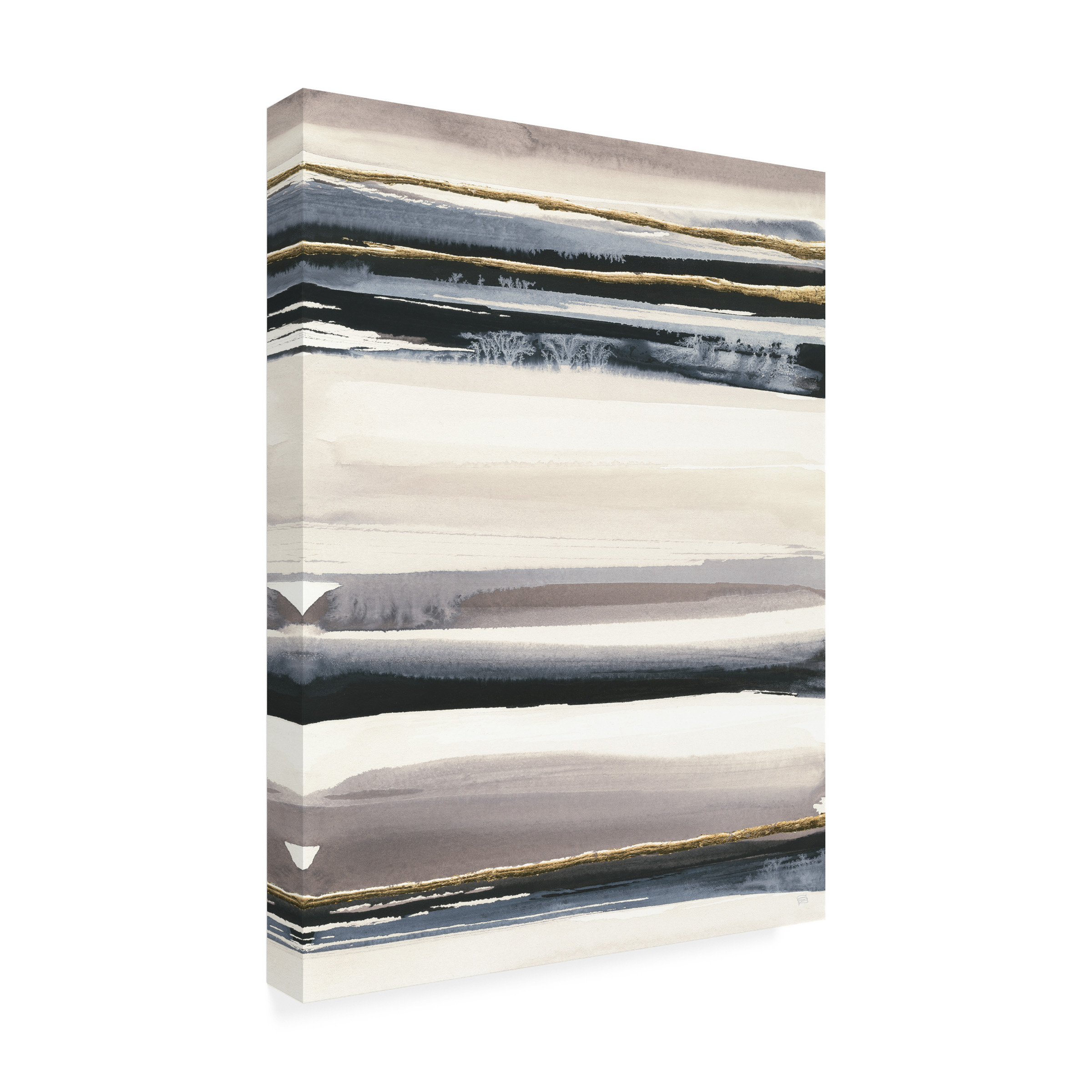 Trademark Fine Art 'Gilded Grey III' Canvas Art by Chris Paschke