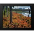 thumbnail image 2 of Fitzharris, Tim 18x15 Black Modern Framed Museum Art Print Titled - Sawtooth National Recreation Area-Idaho, 2 of 5