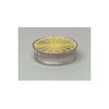 MSA GMC Cartridge For Advantage Series Air Purifying Respirator (APR)