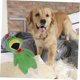 thumbnail image 4 of Squeaky Dog Toys, Chew Toys for Pets, Plush Dog Toys for Grasping and Playing, 4 of 5