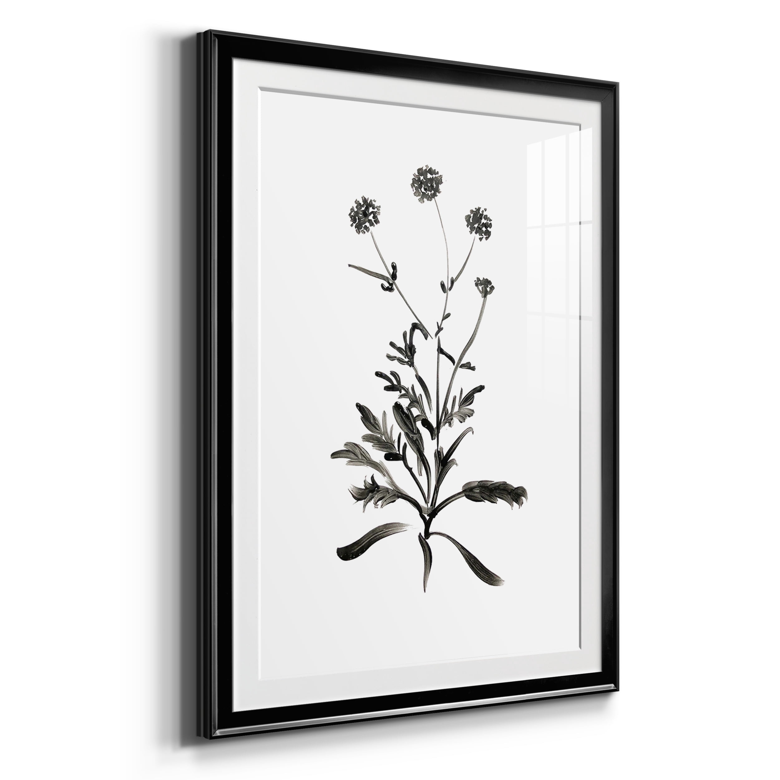 Inky Botanical I Premium Framed Prints Set of 3 - Ready to Hang - 30.5 x 42.5 Each - Black Frame