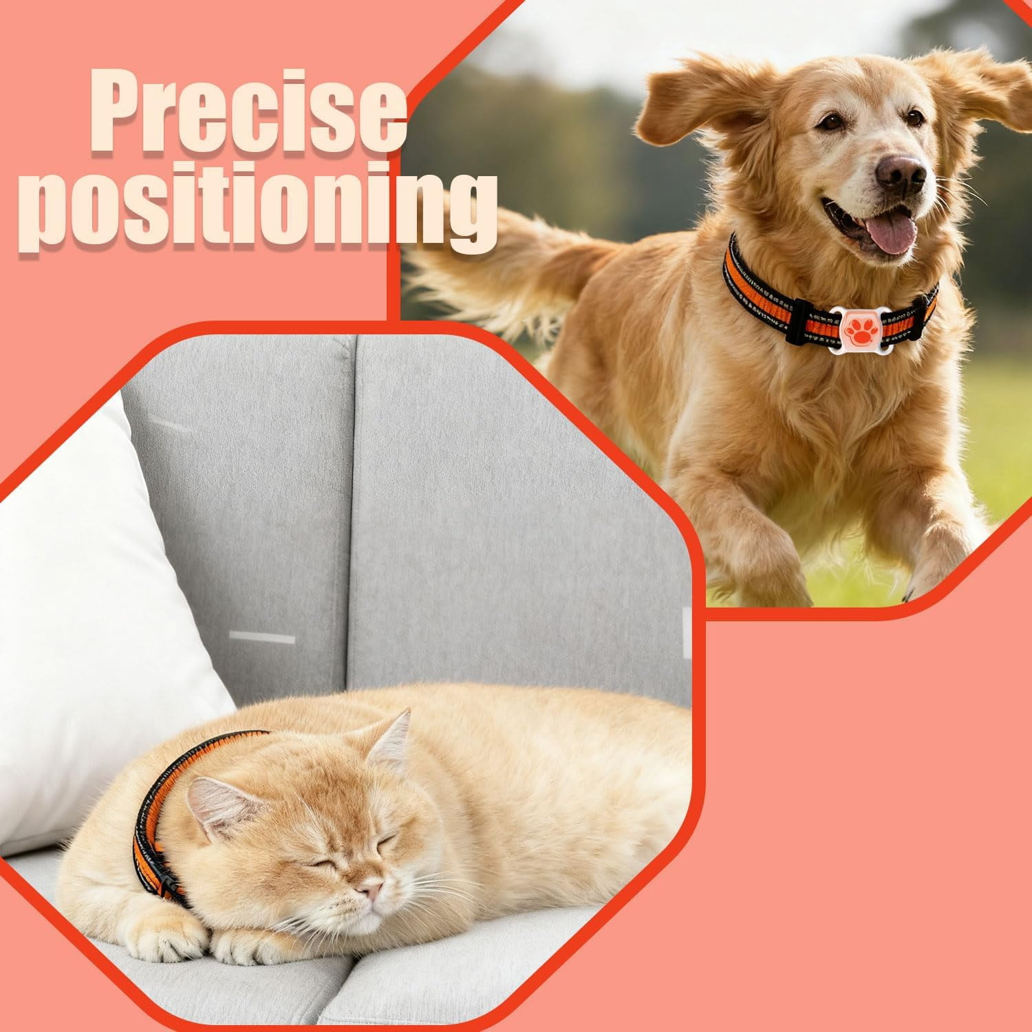 GPS Tracker for Dogs & Cats - No Monthly Fee, Waterproof Real-Time Tracking Collar for Pets, Kids,Luggage & Assets | 365-Day Battery Life | iOS & Android Compatible | Anti-Lost Device
