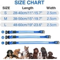 thumbnail image 3 of Collar para perros azul M recargable e impermeable con luz LED intermitente y cinturón ajustable para perros pequeños, medianos y grandes., 3 of 5
