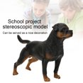 thumbnail image 2 of Rdeghly Rottweiler Model Ornaments,RottweilerSimulation Model Ornaments Desktop Decoration Child Educational Toy,Rottweiler Decoration, 2 of 10