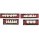 thumbnail image 1 of Dental Material Synthetic Resin False Teeth Filling Denture Tooth Care Tool Temporary Repair White Teeth Cosmetic Dentures For Upper Jaw, 1 of 5