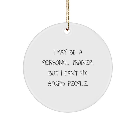 Funny Personal Trainer Gifts - I May Be A Trainer, But I Can't Fix Stupid People. Circle Ornament for Christmas