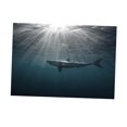 thumbnail image 4 of Tachiuwa Aquarium Tank Side Adhesive Background Shark Picture - as XXL, 4 of 9