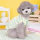 thumbnail image 5 of Vestido de rayas arcoíris para perros, vestido de verano para perros, vestidos para gatos, trajes de algodón suave y transpirable para perros y ropa para perros, niñas, cachorros, vestidos ligeros, 5 of 8