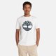 thumbnail image 2 of Playera de Manga Corta para Hombre con Logo de Árbol, 2 of 2
