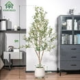 Olive Trees ficial Indoor, 5FT Tall Faux Olive Tree with White Tall