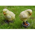 thumbnail image 2 of Estatua de pareja de pollitos de Figuine Hi-Line Gift Ltd, 57 cm, 2 of 2