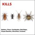 thumbnail image 3 of Raid Spider Blaster Insect Killer Spray, for Indoor and Outdoor Use, 350g, 3 of 9