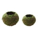 thumbnail image 1 of de de 2 Piezas, Tejido de de , Conservada, Decoración de Jardín, inconfundible 12, 18 Cm CUTICAT Moss Ball Flower Pot, 1 of 6