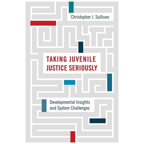 Taking Juvenile Justice Seriously : Developmental Insights and System Challenges (Hardcover)