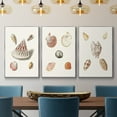 thumbnail image 2 of Pastel Knorr Shells VI - Framed Premium Gallery Wrapped Canvas L Frame 3 Piece Set - Ready to Hang, 2 of 9