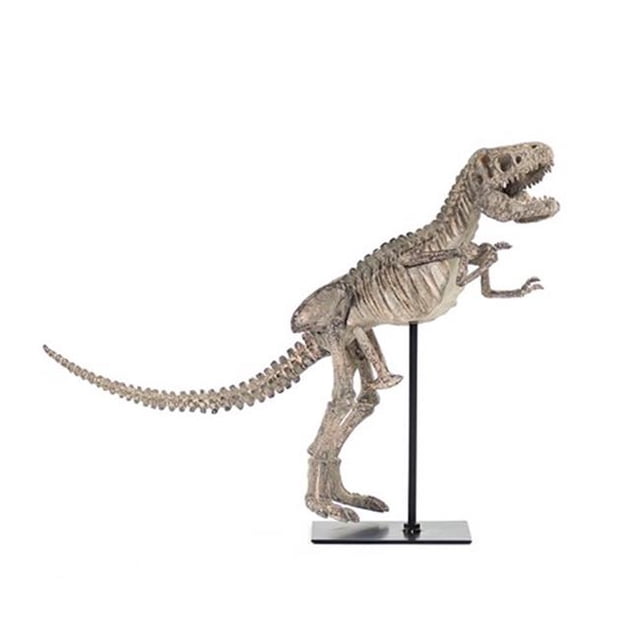 Zentique SHI011 Squelette de Dinosaure T-Rex avec Base&44; 19,5 x 14,5 x 6,5 Po.