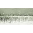 thumbnail image 2 of Deiter, Lori 18x11 Black Ornate Wood Framed with Double Matting Museum Art Print Titled - Beach Grass, 2 of 4