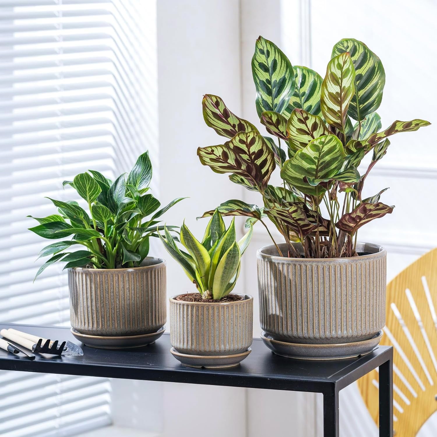 Speckle Gray Ceramic Plant Pot Set of 3 with Saucers, 4.3-6.7 Inch Indoor Flower Pots with Drainage Holes and Pads, Decorative Striped Planter Set for House Plants and Gardening