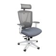 thumbnail image 1 of Autonomous ErgoChair - Premium Ergonomic Office Chair - Gray, 1 of 4