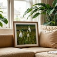 thumbnail image 3 of Delicate snowdrops in the spring meadow - Bezirk Pankow Berlin Germany Photography Flowers Nature Botanical Garden Floral Scenic Unframed Wall Art Print 8 x 8 inches, 3 of 9