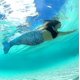thumbnail image 4 of Cola de sirena resistente al desgaste para niños para nadar, monoaleta incluida AgreenM, 4 of 5